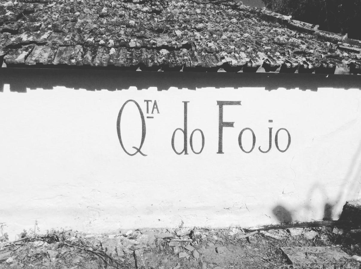 Bed and Breakfast Quinta Do Fojo Ламегу Экстерьер фото