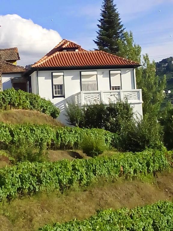 Bed and Breakfast Quinta Do Fojo Ламегу Экстерьер фото